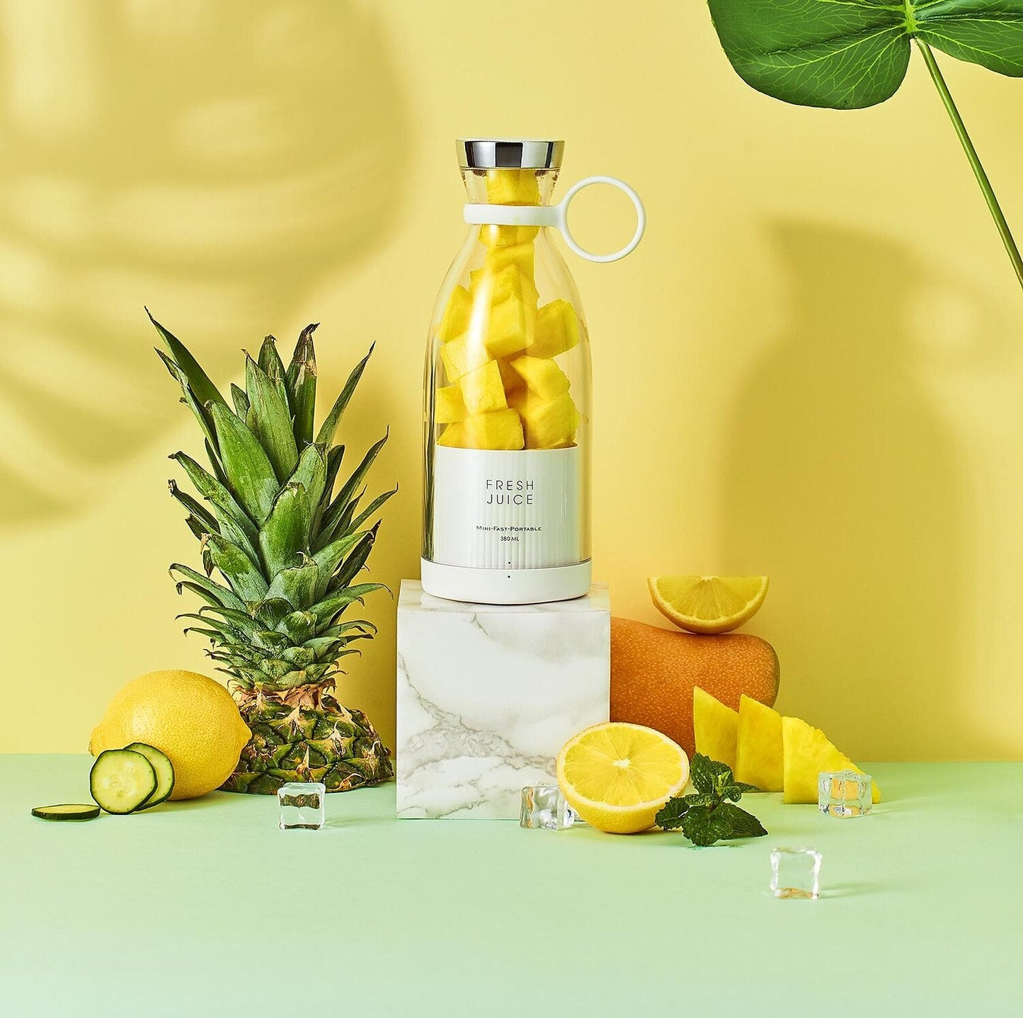 Radiance  Blender Bottle
